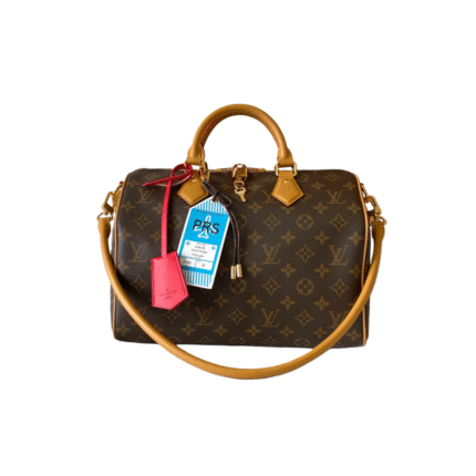 LOUIS VUITTON LV Speedy Soft 30 Boho Bag