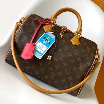 LOUIS VUITTON路易威登 LV Speedy Soft 30 Boho手袋