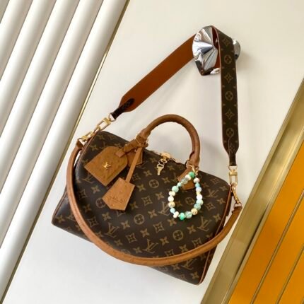 LOUIS VUITTON路易威登 LV Speedy Soft 30 Boho手袋