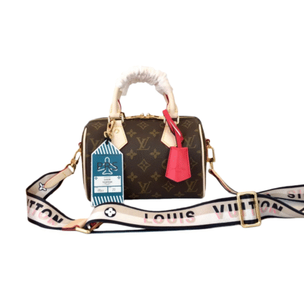 LOUIS VUITTON Speedy Bandoulière 20 bag